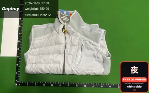 PJS Down Vest