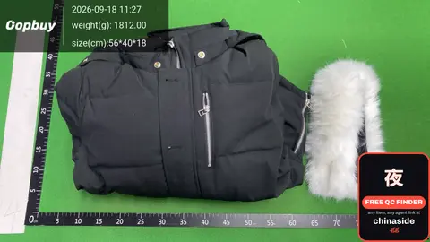 Men's Hooded Down Jacket