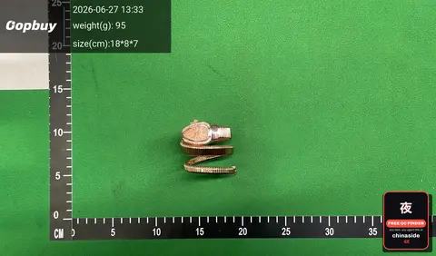 Snake Design Alloy Watch