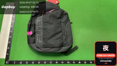 Padded Backpack