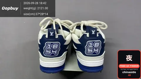 Louis Vuitton Style Skate Shoes