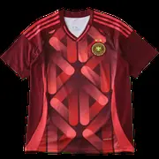 2526 season Germany away Fan version