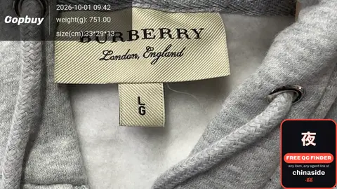 Burberry Hoodie