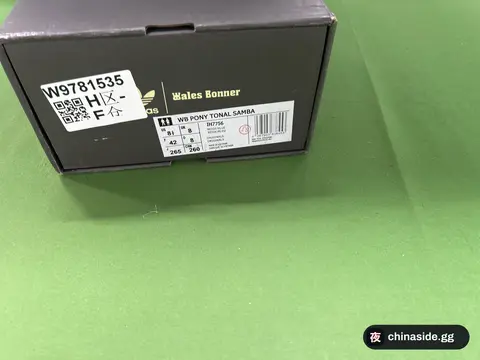 Adidas Wales Bonner Samba Sneakers