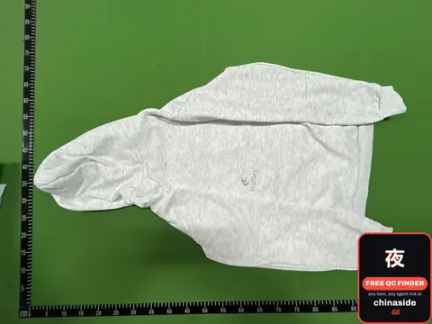 E258 Grey Hoodie