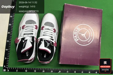 Air Jordan 4 Sneakers