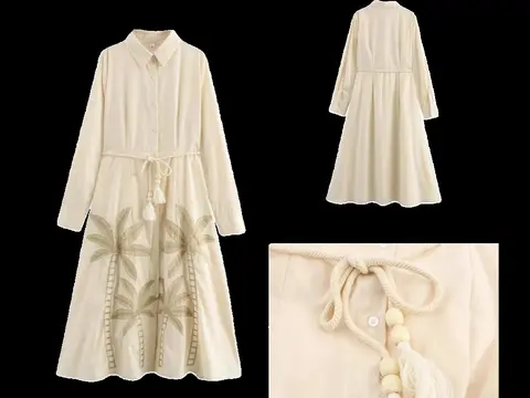 Zara Dress