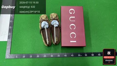Gucci Horsebit Mary Jane Flats