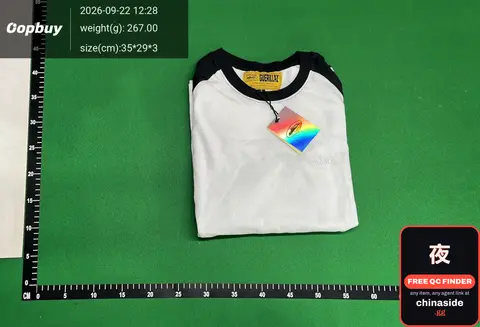 Gerbil Raglan Tee