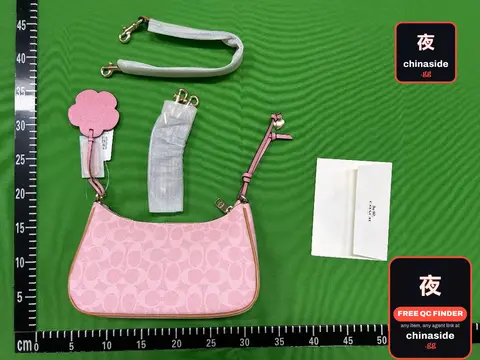 Pink Coach Handbag