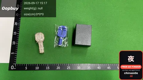 Watch With Diamond-Encrusted Case