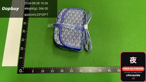 Goyard Mini Bag