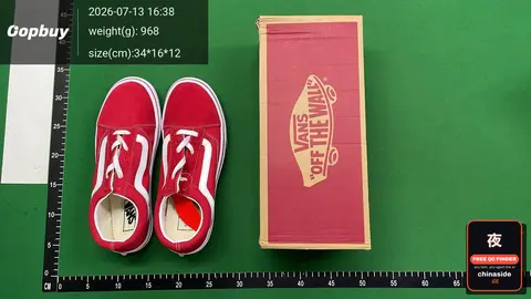 Vans Style Canvas Sneakers
