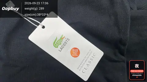 Men's Cotton Round Neck T-Shirt