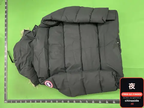 DX52-3 Winter Cotton-Padded Jacket with Hood