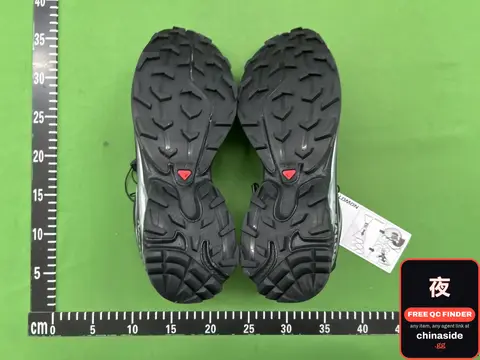 Salmon GTX Shoes