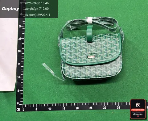 Goyard Saddle Bag