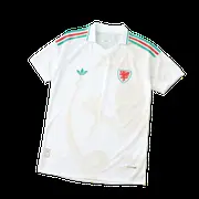2026 FIFA World Cup Wales away Player version