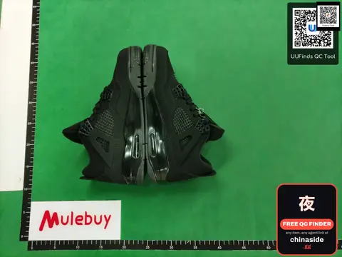 Air Jordan 4 Black Cat