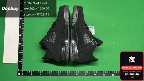 Nike Air Max Sneakers
