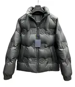 Louis Vuitton Down Jacket 1+ colorways