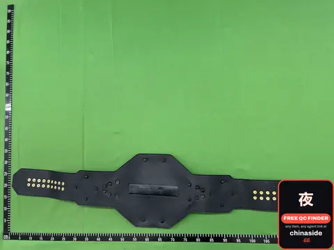 Wrestling Championship Belt